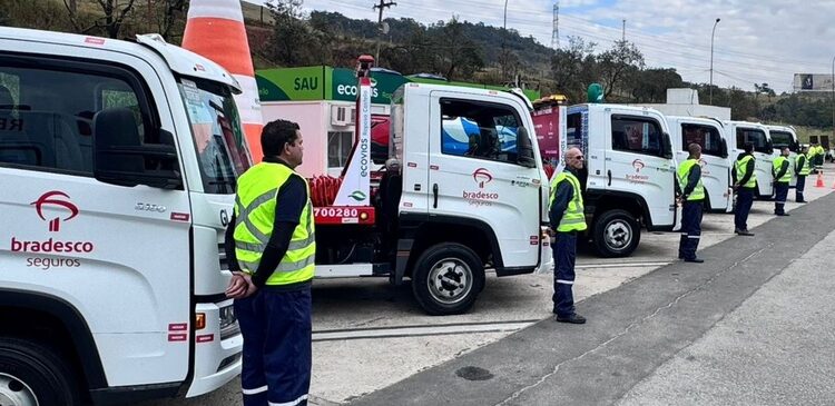 Guinchos caracterizados com a identidade visual da Bradesco Seguros